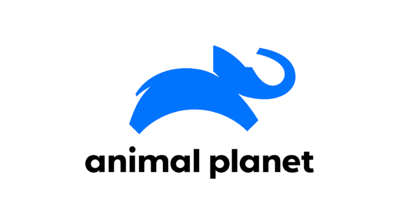 ANIMAL PLANET